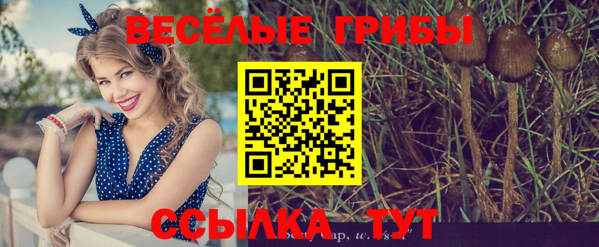 Галлюциногенные грибы MAGIC MUSHROOMS Ишимбай